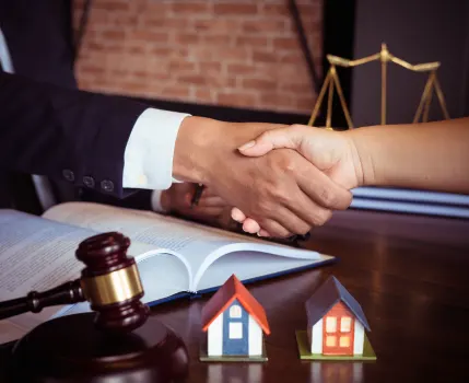 Advocate Bindu Real Estate and Property Lawyer