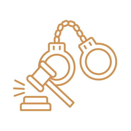 1.1 Criminal Law